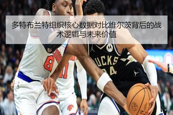 多特布兰特组织核心数据对比维尔茨背后的战术逻辑与未来价值